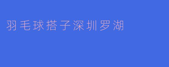 羽毛球搭子深圳罗湖
