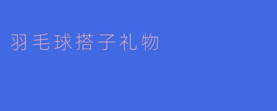 我想给我的羽毛球搭子送个礼物,有什么推荐吗?****
