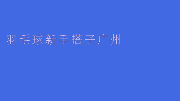 羽毛球新手搭子广州