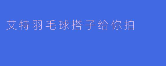 艾特羽毛球搭子给你拍