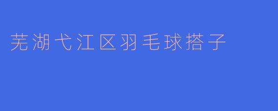 芜湖弋江区羽毛球搭子