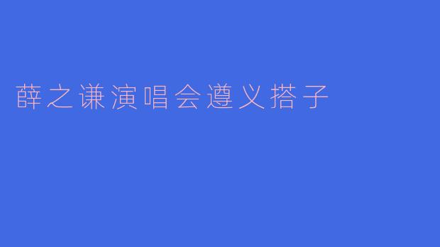 薛之谦演唱会遵义搭子