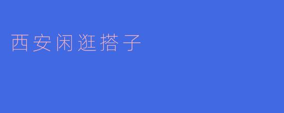 西安闲逛搭子：一起探索古都的魅力