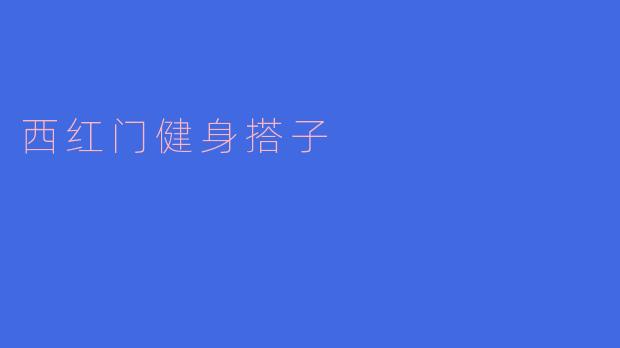 西红门健身搭子