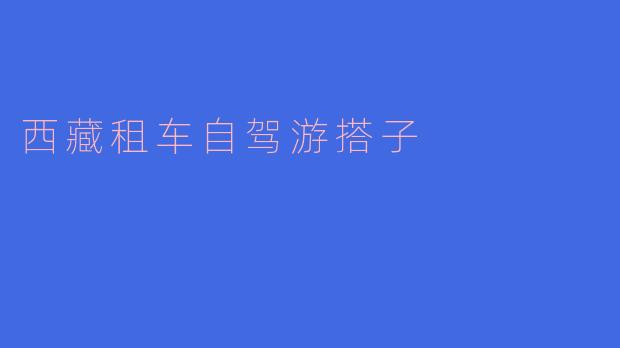 探索西藏的独特魅力——自驾游搭子的最佳选择