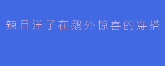 辣目洋子在鹅外惊喜的穿搭有什么特色?****