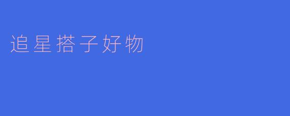 追星搭子好物