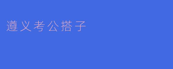 遵义考公搭子
