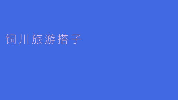 铜川旅游搭子