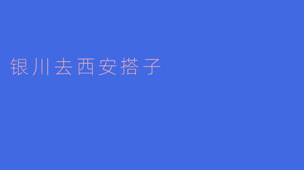 银川去西安搭子