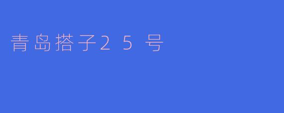 青岛搭子25号是什么？  