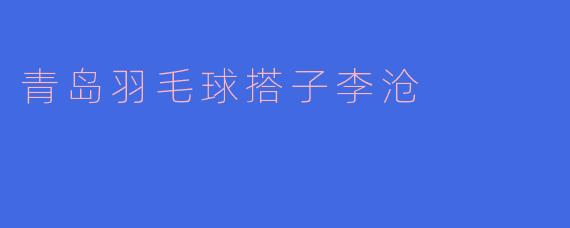 青岛羽毛球搭子李沧