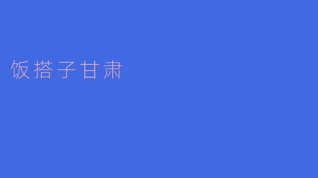 饭搭子甘肃