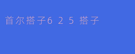 首尔搭子625搭子