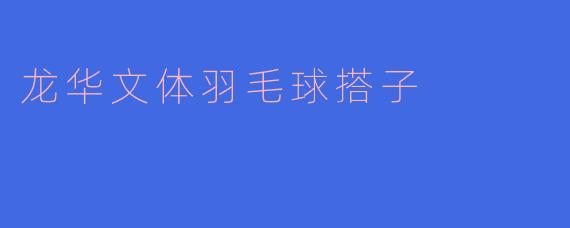 龙华文体羽毛球搭子