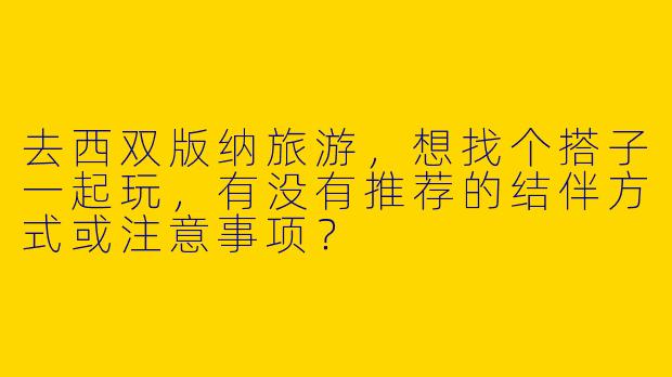 去西双版纳旅游，想找个搭子一起玩，有没有推荐的结伴方式或注意事项？
