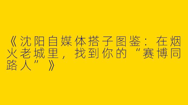 《沈阳自媒体搭子图鉴：在烟火老城里，找到你的“赛博同路人”》