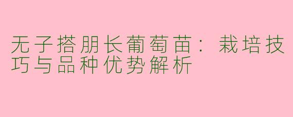 无子搭朋长葡萄苗：栽培技巧与品种优势解析