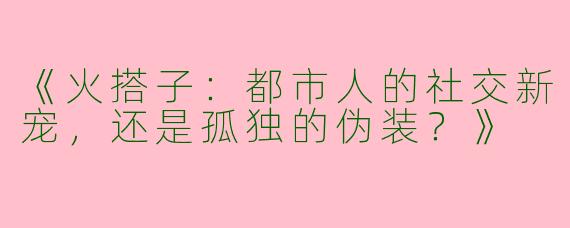 《火搭子：都市人的社交新宠，还是孤独的伪装？》