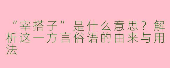 “宰搭子”是什么意思？解析这一方言俗语的由来与用法