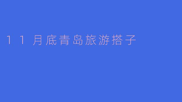 11月底青岛旅游搭子