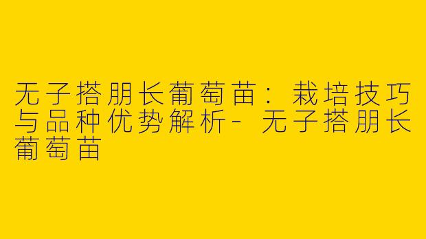 无子搭朋长葡萄苗：栽培技巧与品种优势解析-无子搭朋长葡萄苗