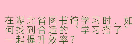在湖北省图书馆学习时，如何找到合适的“学习搭子”一起提升效率？