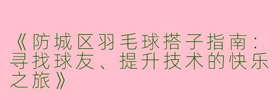 《防城区羽毛球搭子指南：寻找球友、提升技术的快乐之旅》