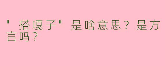 "搭嘎子"是啥意思？是方言吗？