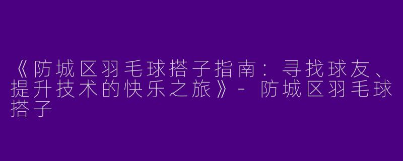 《防城区羽毛球搭子指南：寻找球友、提升技术的快乐之旅》-防城区羽毛球搭子