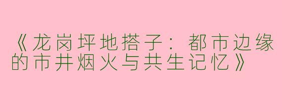 《龙岗坪地搭子：都市边缘的市井烟火与共生记忆》