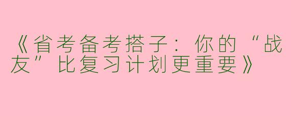 《省考备考搭子：你的“战友”比复习计划更重要》