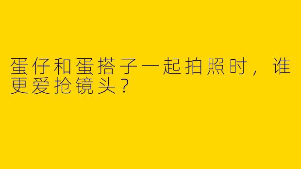 蛋仔和蛋搭子一起拍照时，谁更爱抢镜头？
