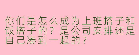 你们是怎么成为上班搭子和饭搭子的？是公司安排还是自己凑到一起的？