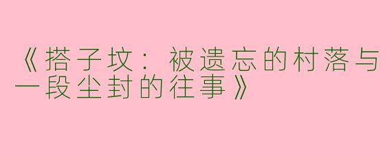 《搭子坟：被遗忘的村落与一段尘封的往事》