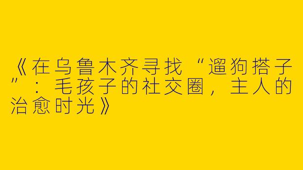 《在乌鲁木齐寻找“遛狗搭子”：毛孩子的社交圈，主人的治愈时光》