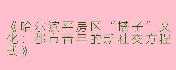 《哈尔滨平房区“搭子”文化：都市青年的新社交方程式》