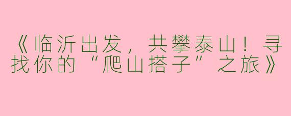 《临沂出发，共攀泰山！寻找你的“爬山搭子”之旅》