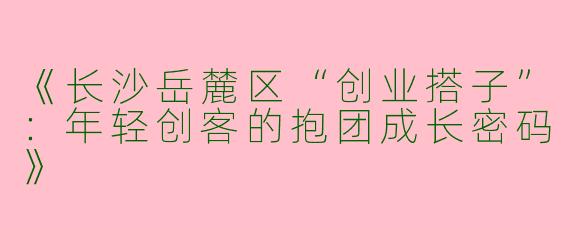 《长沙岳麓区“创业搭子”：年轻创客的抱团成长密码》