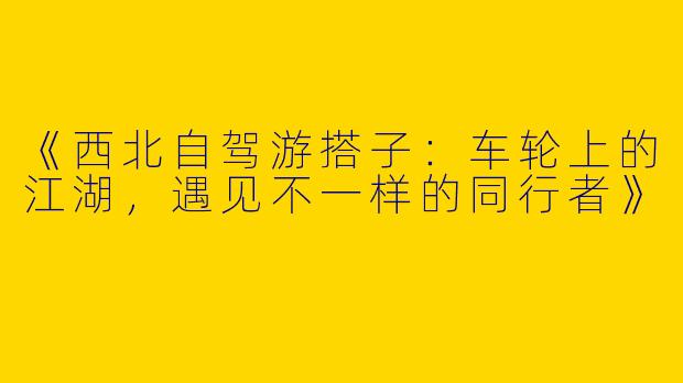 《西北自驾游搭子：车轮上的江湖，遇见不一样的同行者》