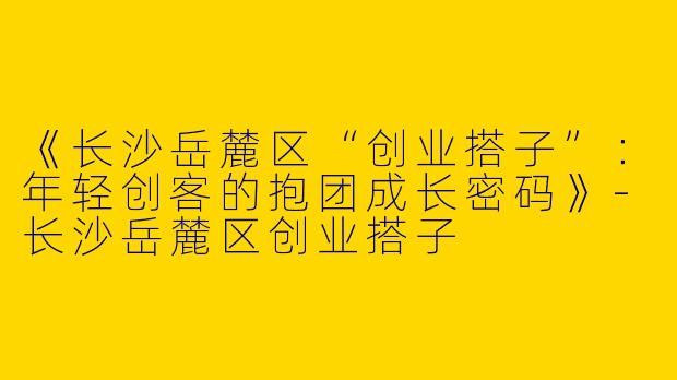 《长沙岳麓区“创业搭子”:年轻创客的抱团成长密码》