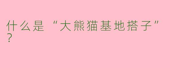 什么是“大熊猫基地搭子”？