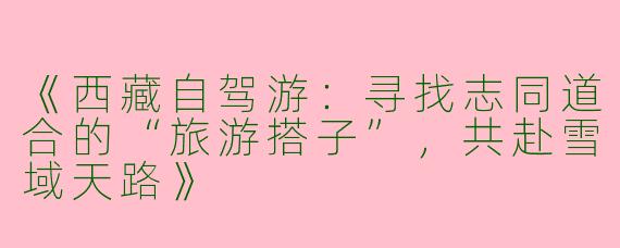 《西藏自驾游：寻找志同道合的“旅游搭子”，共赴雪域天路》