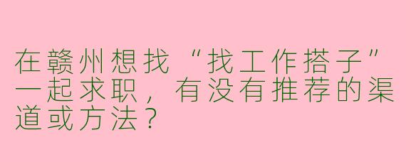 在赣州想找“找工作搭子”一起求职，有没有推荐的渠道或方法？