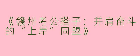 《赣州考公搭子:并肩奋斗的“上岸”同盟》