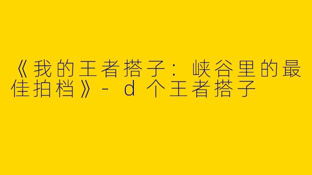 《我的王者搭子：峡谷里的最佳拍档》-d个王者搭子