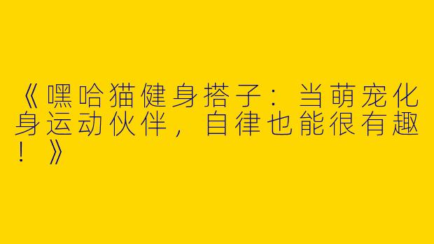 《嘿哈猫健身搭子：当萌宠化身运动伙伴，自律也能很有趣！》