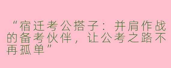“宿迁考公搭子：并肩作战的备考伙伴，让公考之路不再孤单”