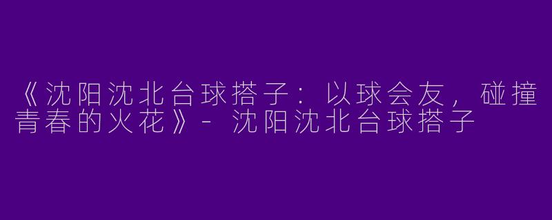 《沈阳沈北台球搭子：以球会友，碰撞青春的火花》-沈阳沈北台球搭子