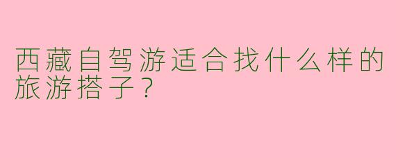 西藏自驾游适合找什么样的旅游搭子？